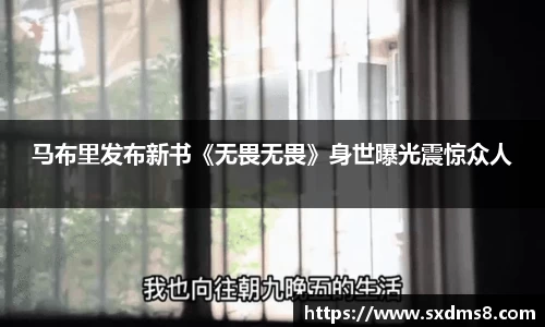333官网