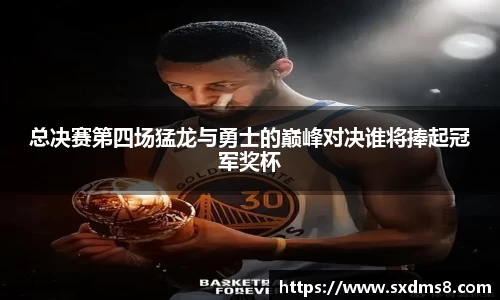 333官网