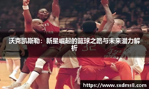 333官网