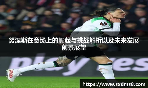 333官网