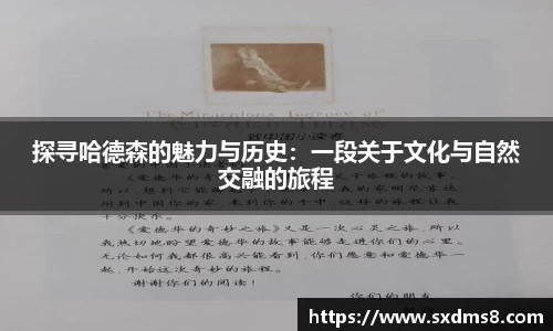 333官网