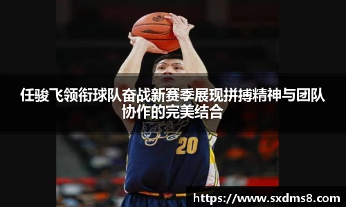 333官网