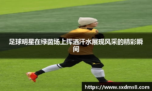 333官网