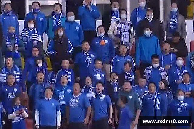 发现333体育